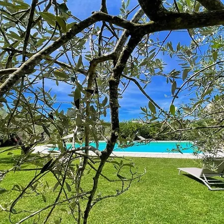 Villa Sole Vino - Fabulous Pool - Fantastic Area - Sleeps Up To 15 No2 Belvedere (Perugia)