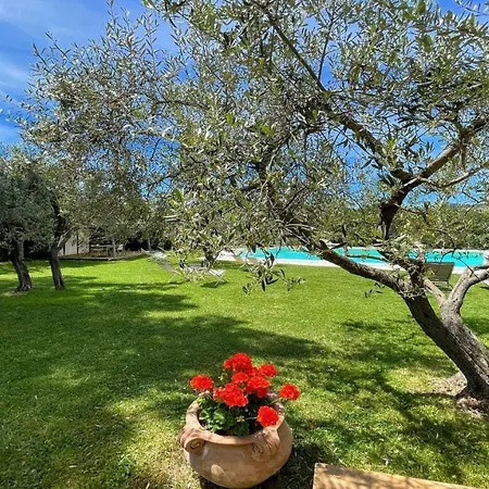 Sole Vino - Fabulous Pool - Fantastic Area - Sleeps Up To 15 No2 * Belvedere (Perugia)
