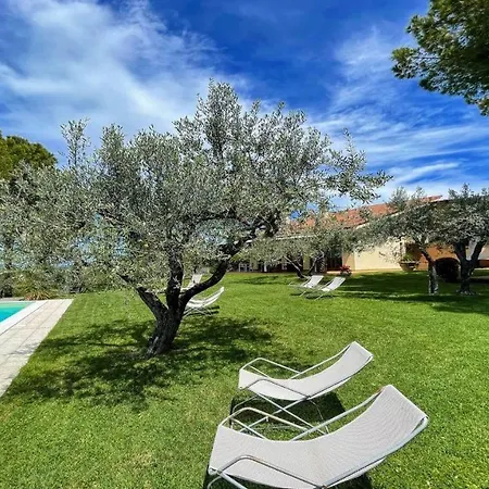 Sole Vino - Fabulous Pool - Fantastic Area - Sleeps Up To 15 No2 Willa Belvedere (Perugia)